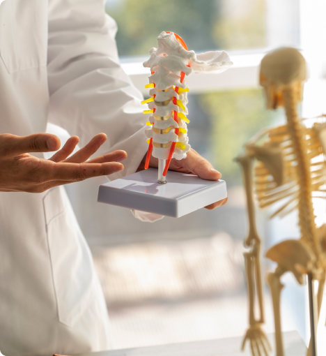 Specialist explaining scoliosis treatment with a spine model